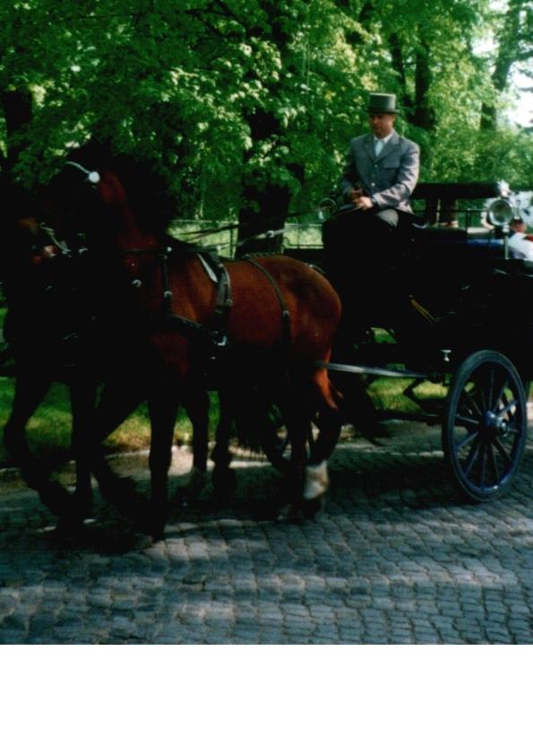 Pension Am Rheinsberger Schlosspark Εξωτερικό φωτογραφία